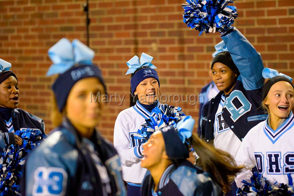 DSC_3541.jpg