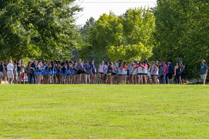 GirlsXCScrimmage 8-16-19 -1