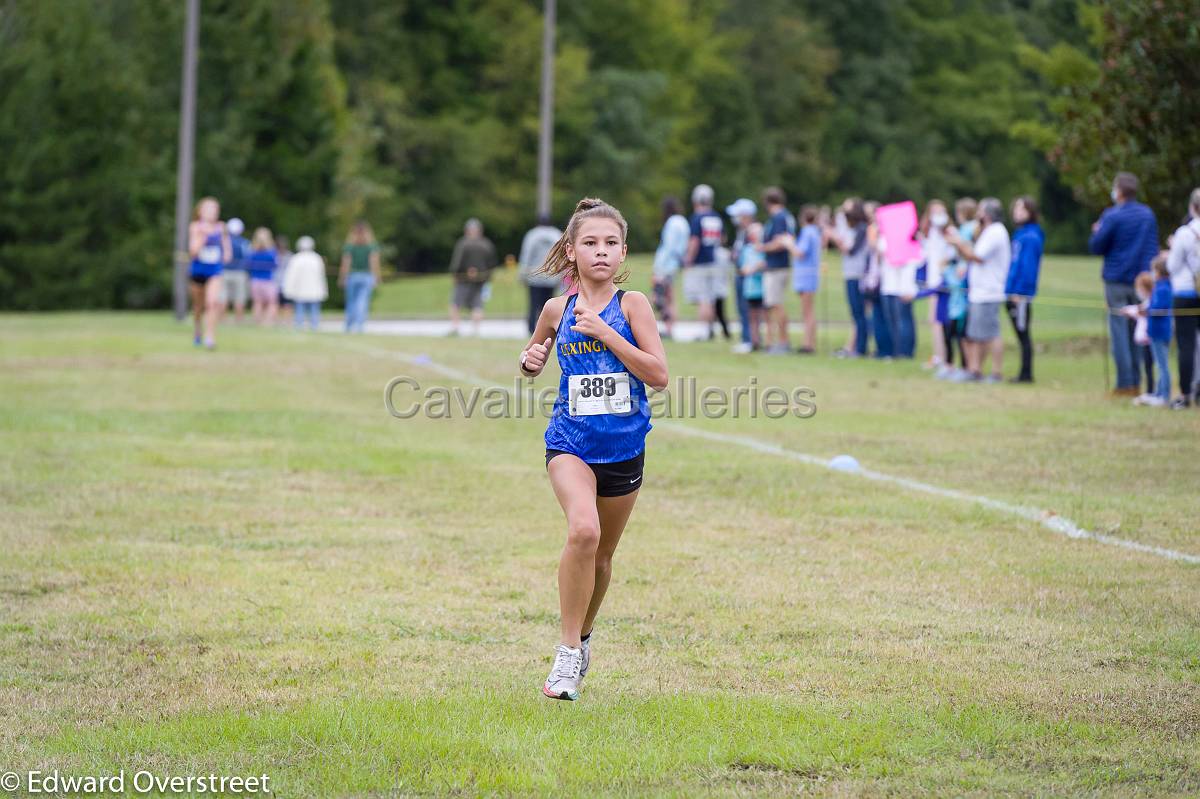 Dorman Classic XC-118.jpg