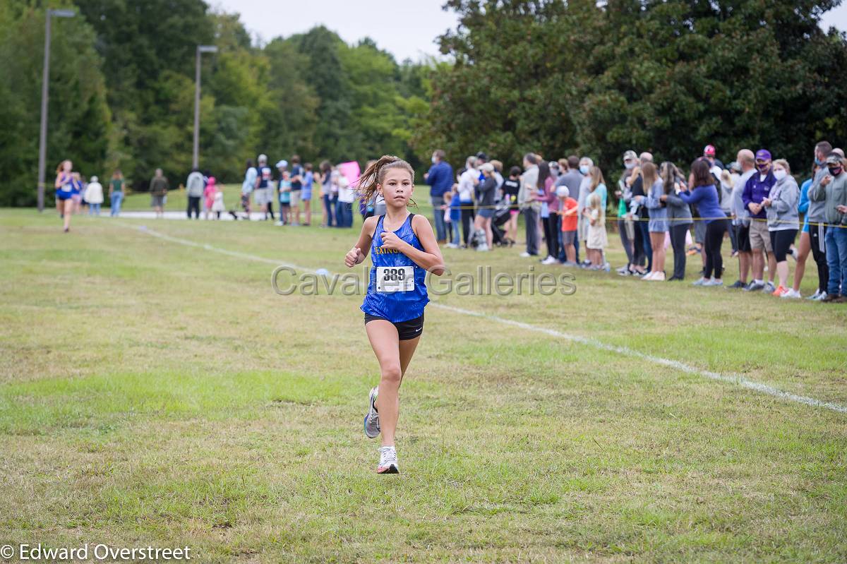 Dorman Classic XC-119.jpg