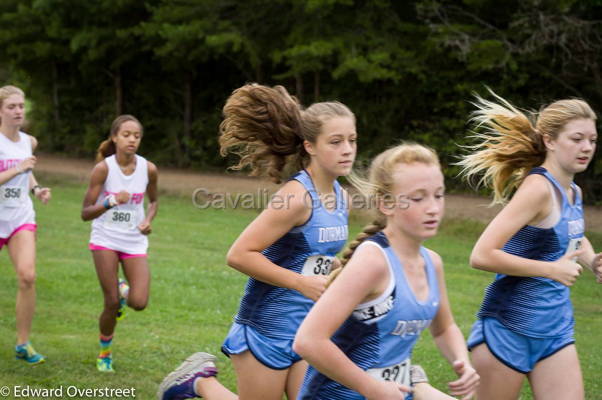 Dorman Classic XC-17.jpg