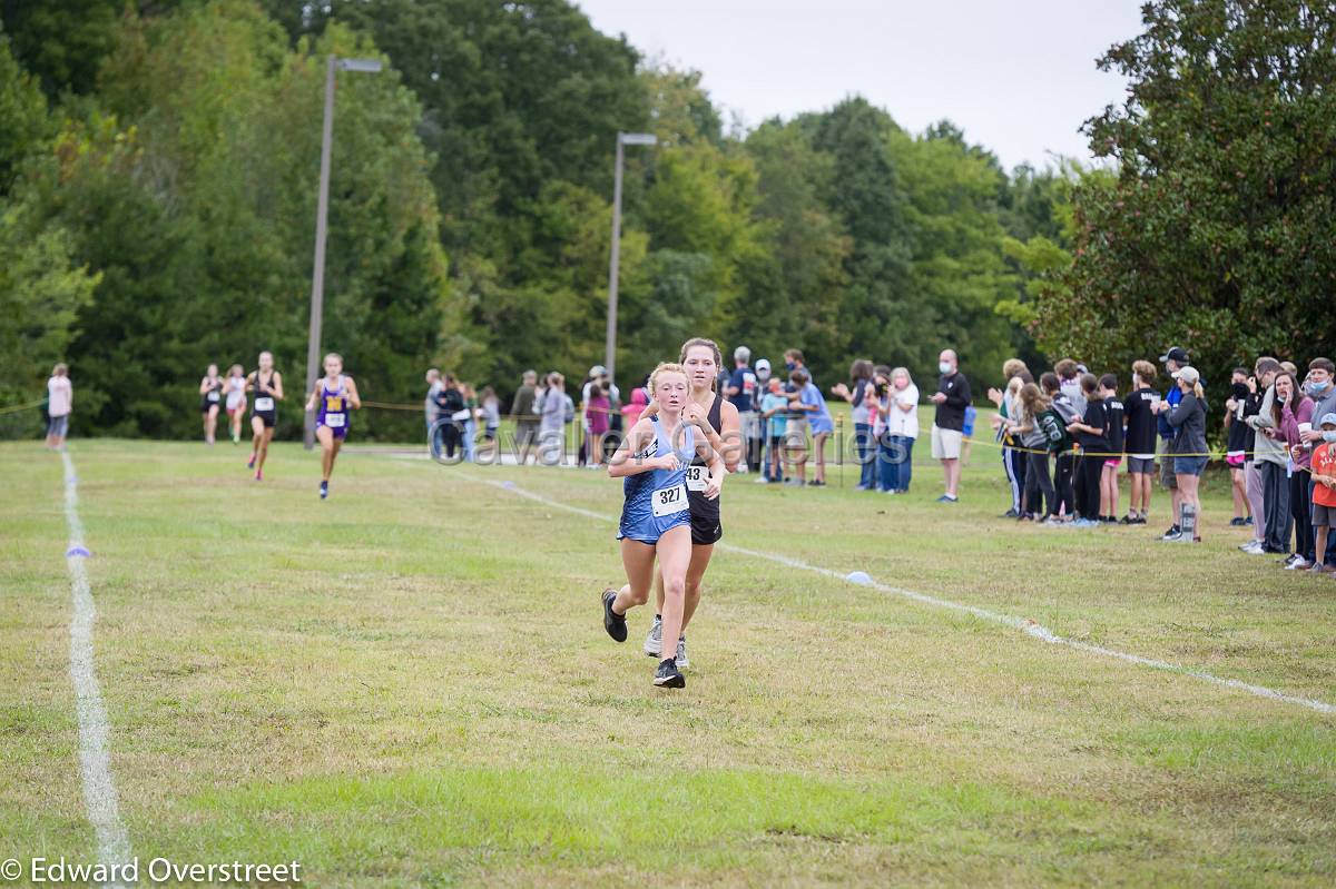 Dorman Classic XC-175.jpg