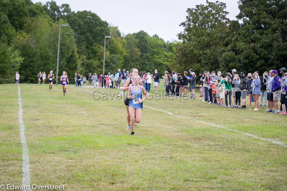 Dorman Classic XC-176.jpg