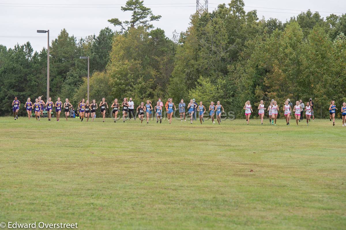 Dorman Classic XC-2.jpg