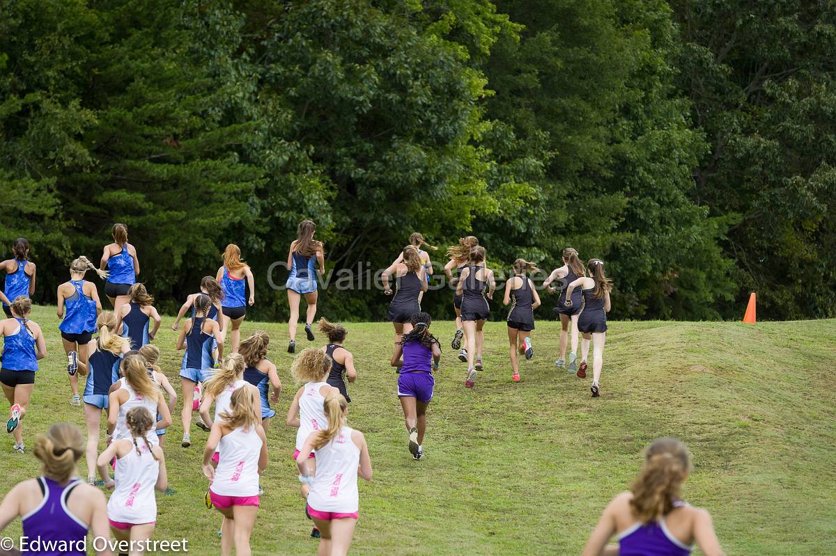 Dorman Classic XC-20.jpg