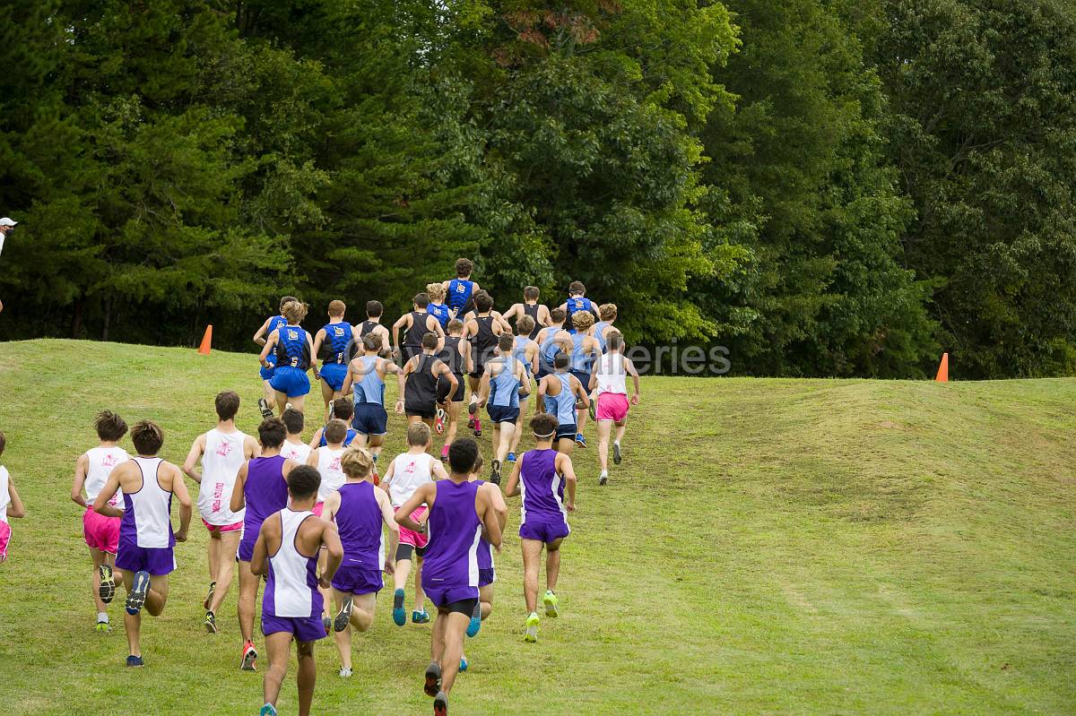 Dorman Classic XC-231.jpg