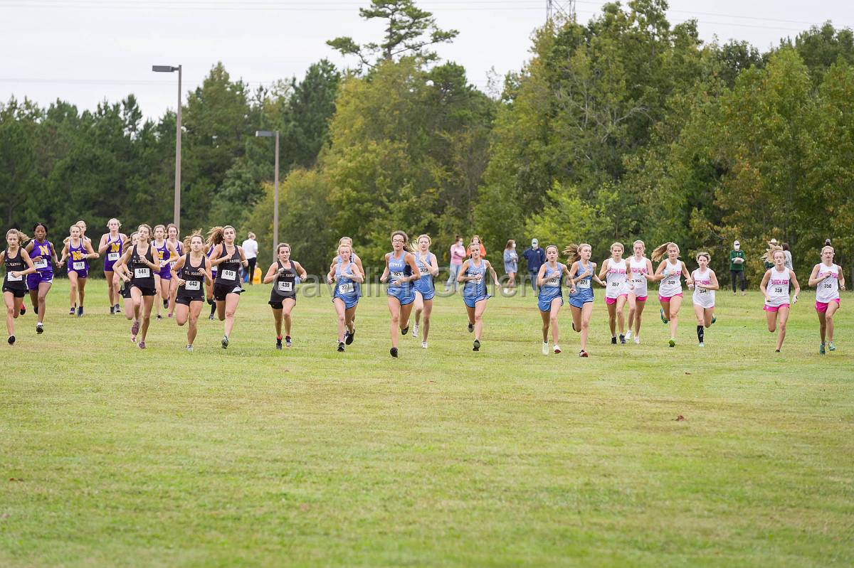 Dorman Classic XC-342.jpg