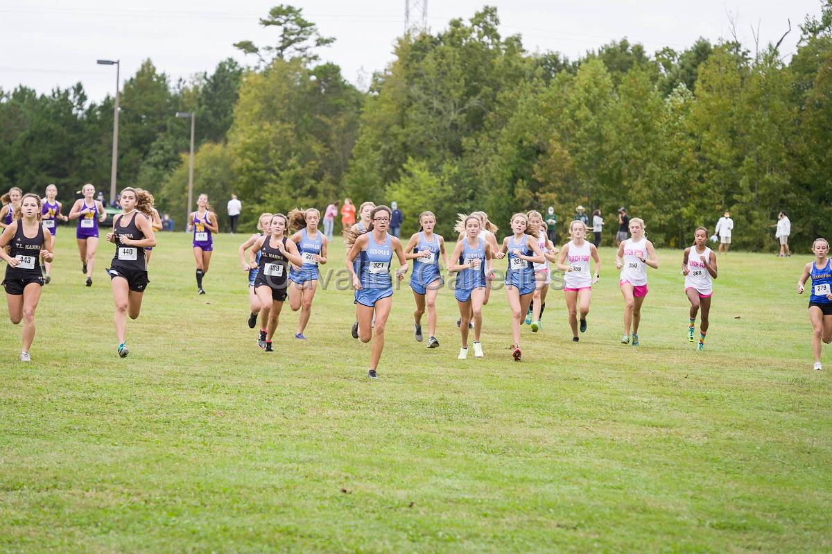 Dorman Classic XC-343.jpg