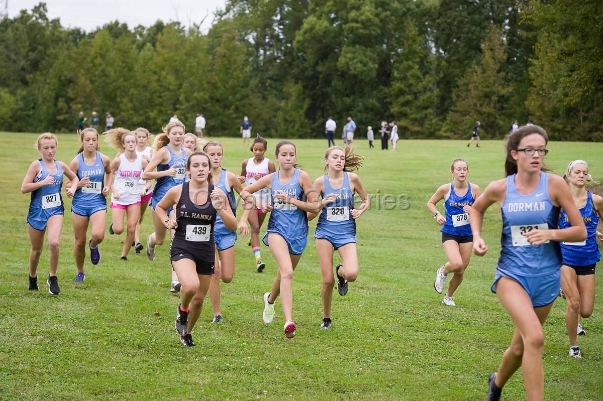 Dorman Classic XC-351.jpg