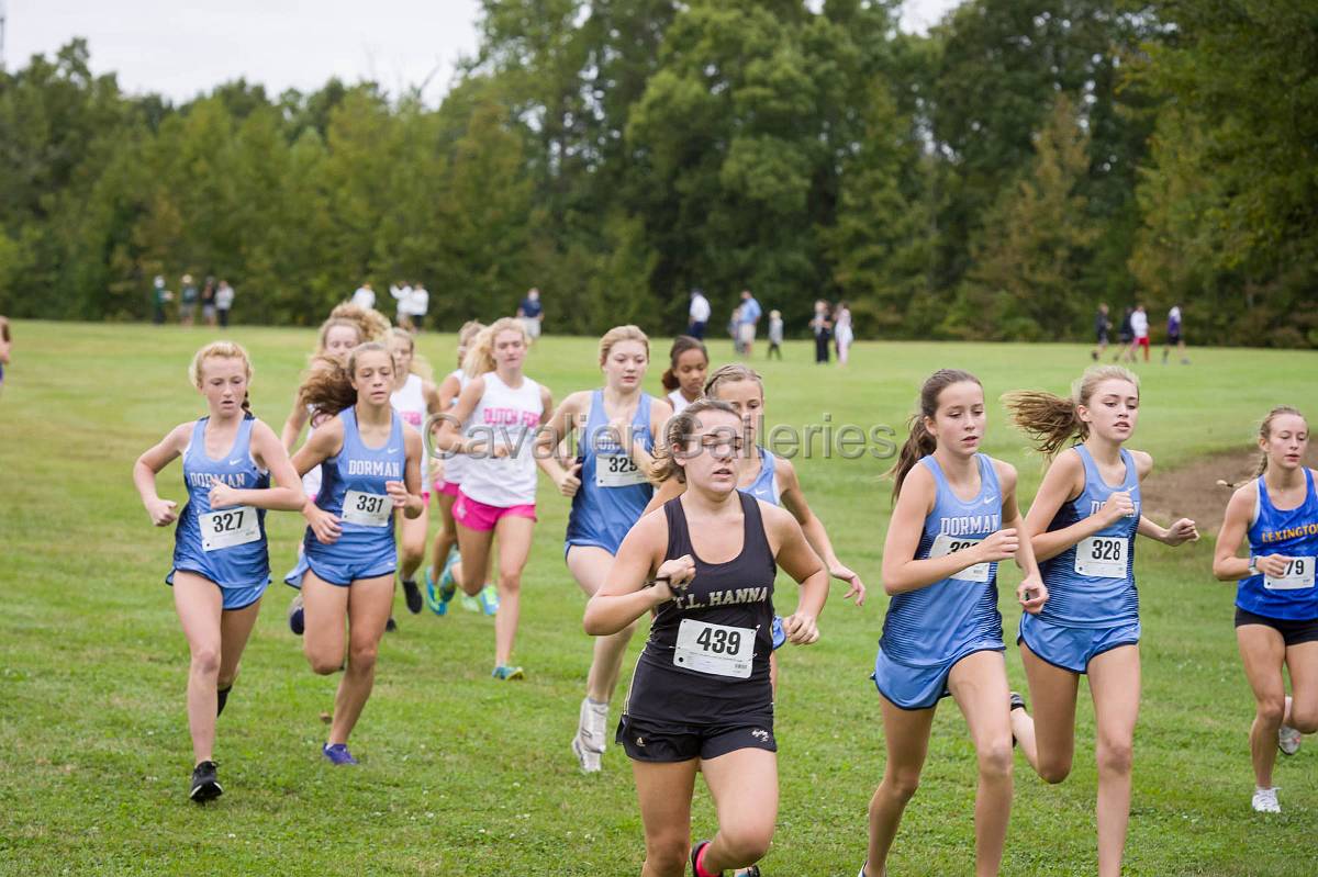 Dorman Classic XC-352.jpg