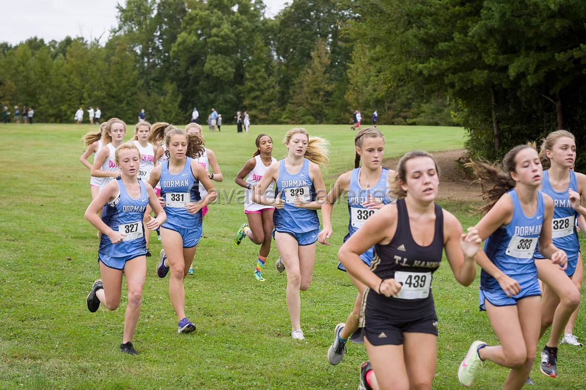 Dorman Classic XC-353.jpg