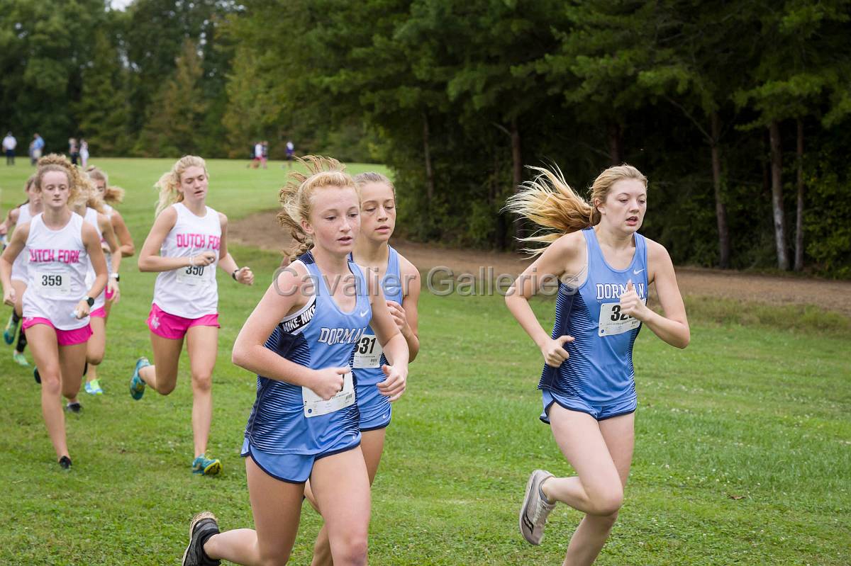 Dorman Classic XC-357.jpg