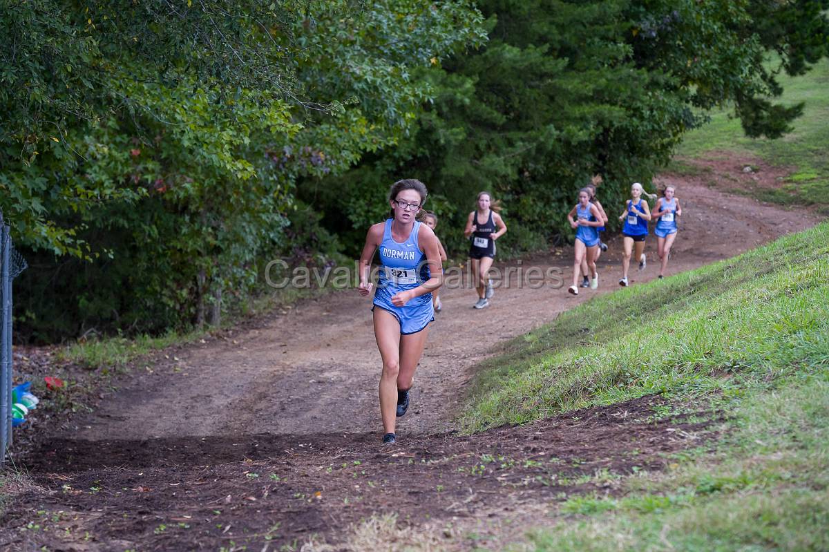 Dorman Classic XC-365.jpg