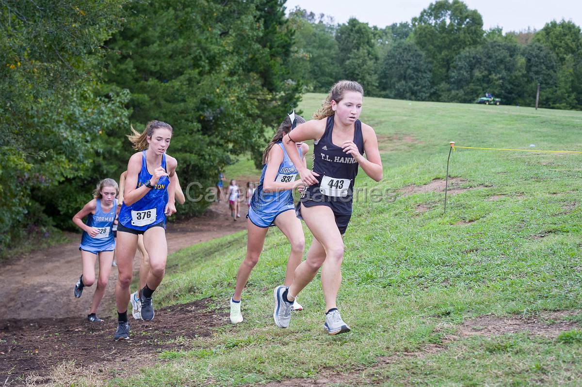 Dorman Classic XC-368.jpg