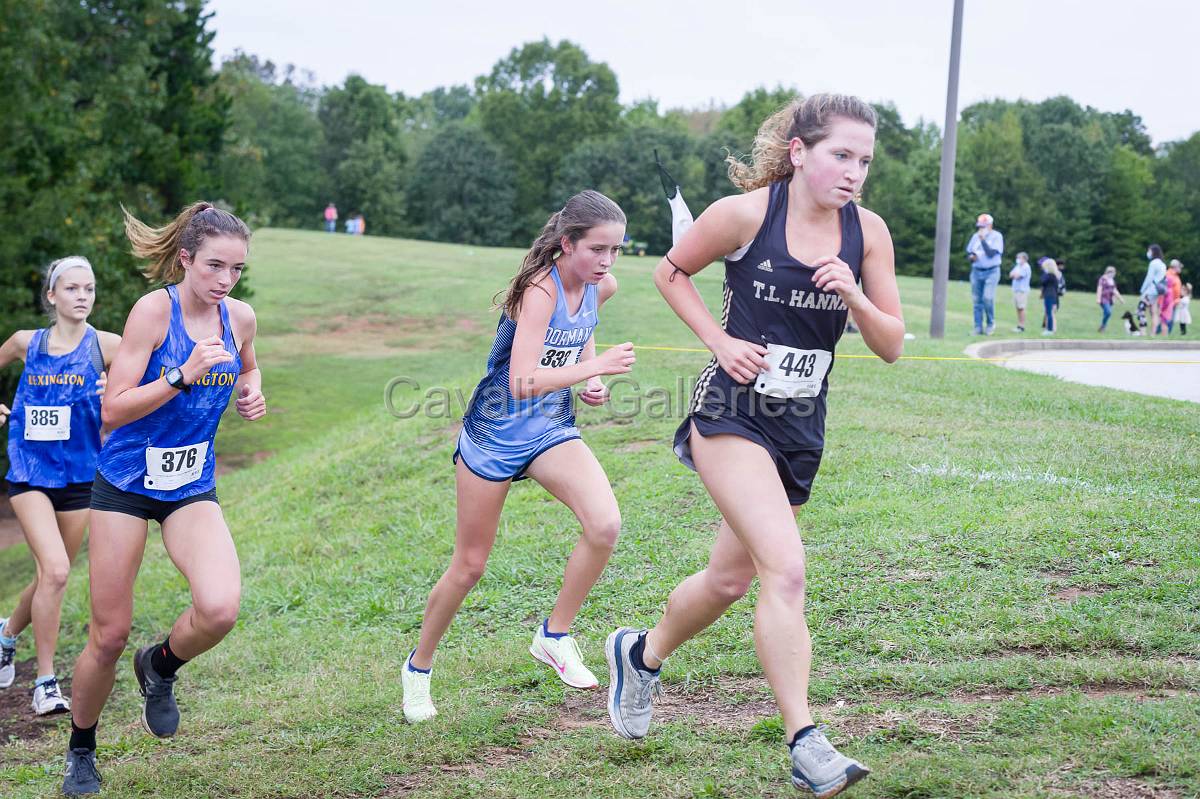 Dorman Classic XC-371.jpg