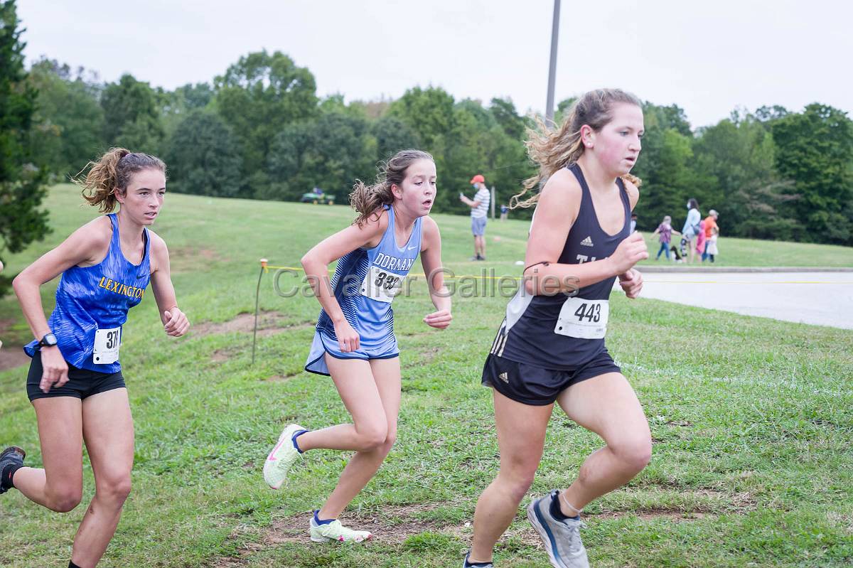 Dorman Classic XC-372.jpg