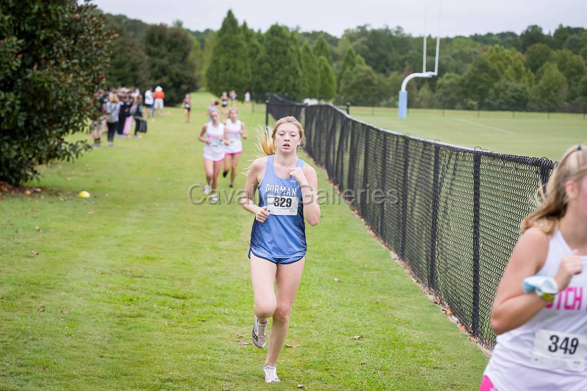 Dorman Classic XC-415.jpg