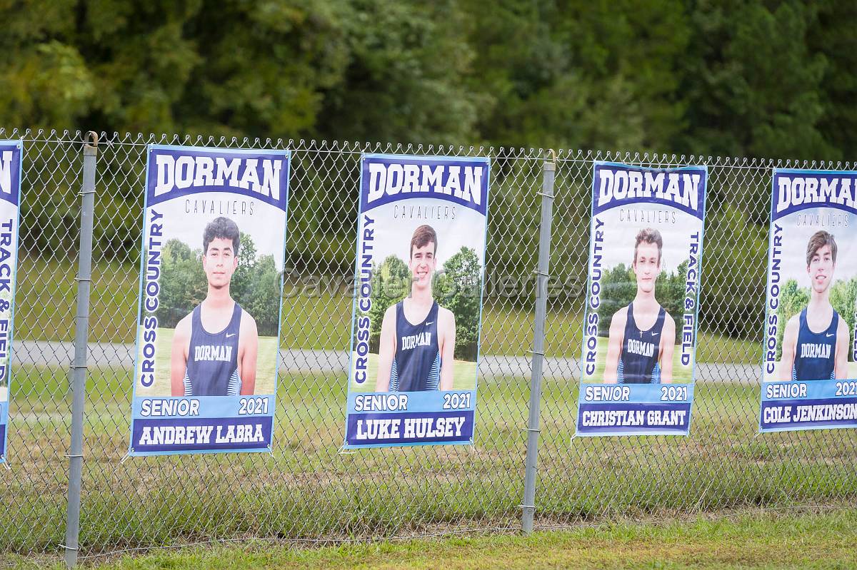 Dorman Classic XC-428.jpg