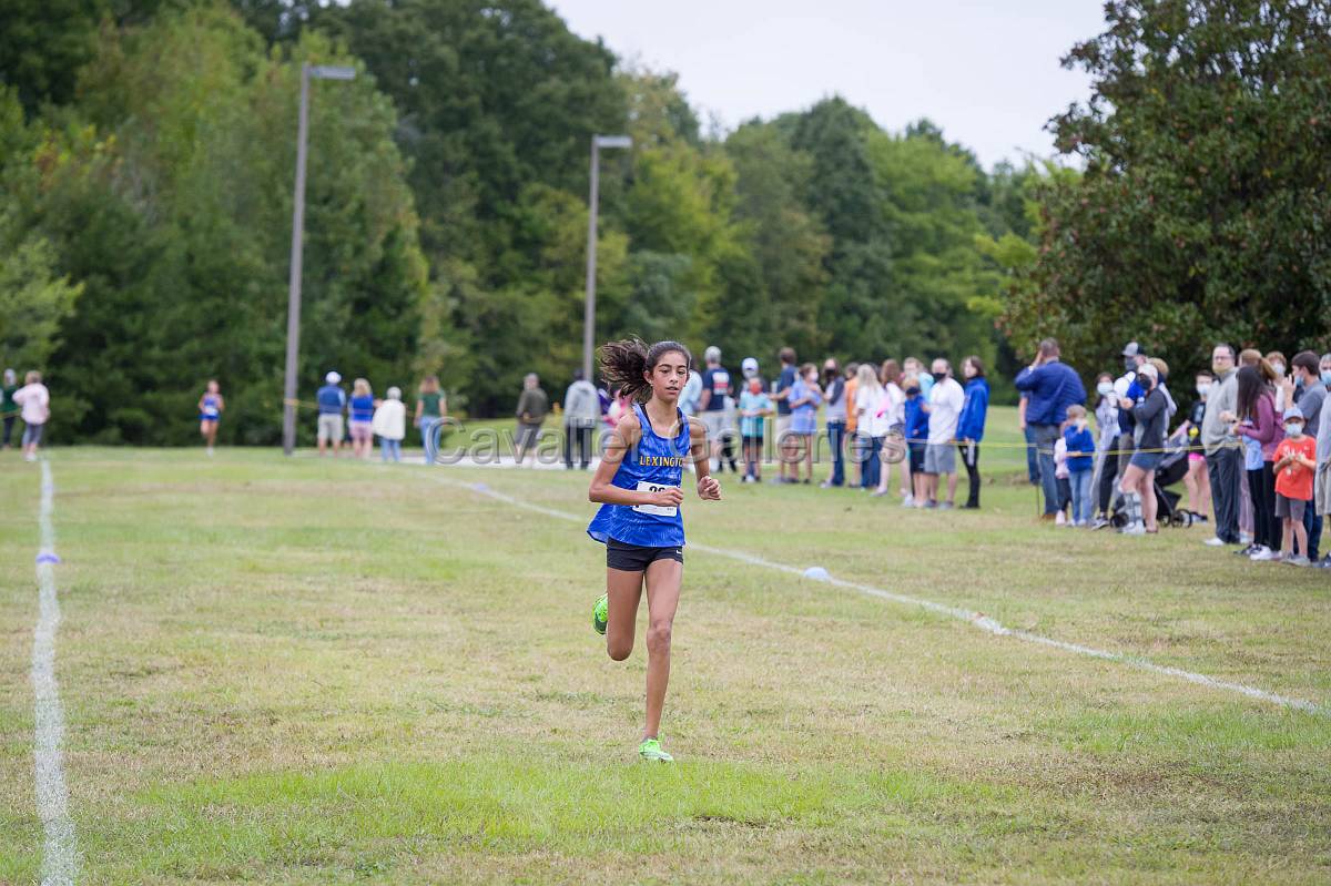 Dorman Classic XC-431.jpg