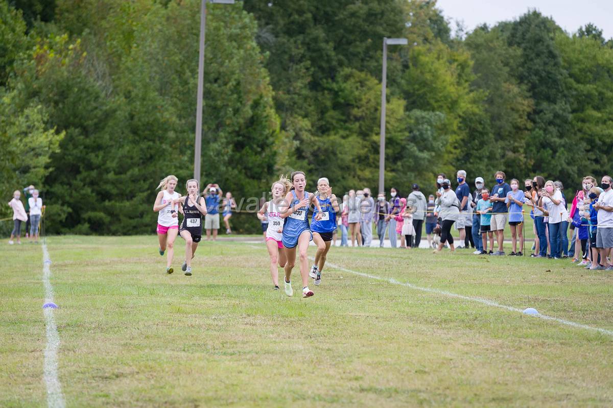 Dorman Classic XC-442.jpg