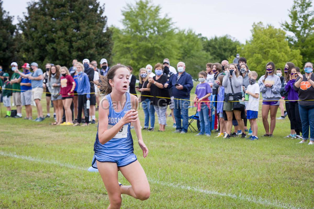 Dorman Classic XC-451.jpg