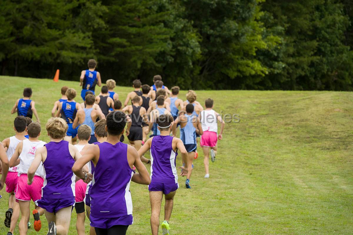 Dorman Classic XC-505.jpg