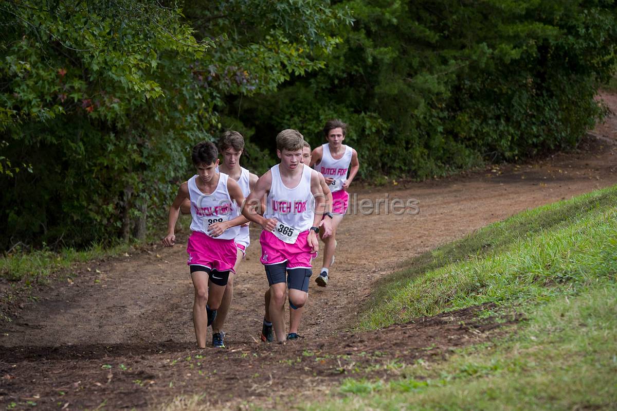 Dorman Classic XC-529.jpg