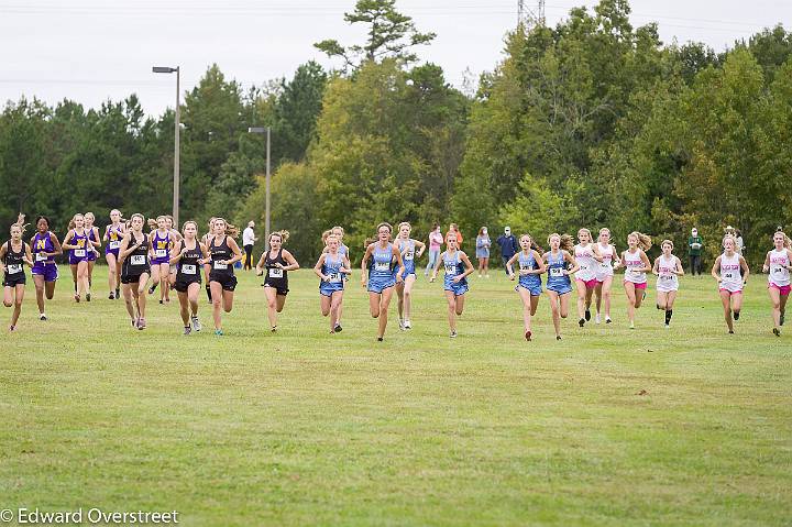 Dorman Classic XC-5