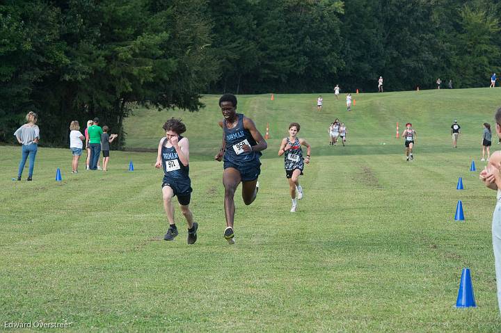 XC Senior NIght-152