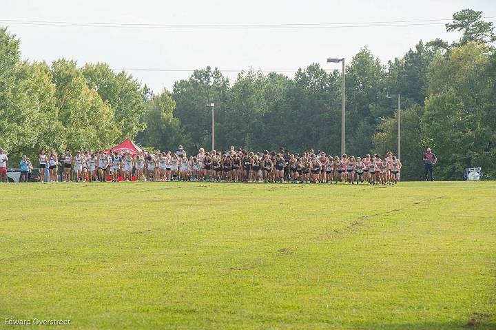 XC Senior NIght-66