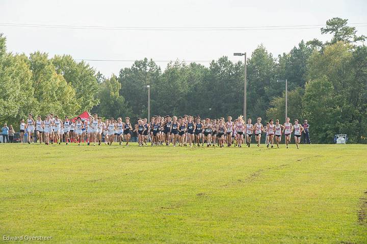 XC Senior NIght-67